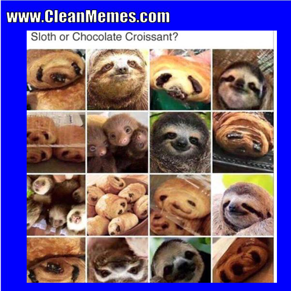 10sloth