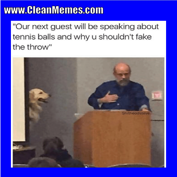 38tennisballs