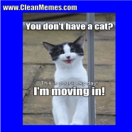 Cute Clean Cat Memes