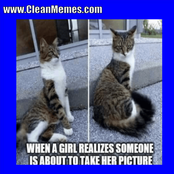 Clean Memes 04-12-2018 – Clean Memes