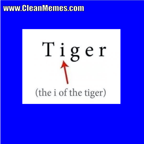 08Tiger