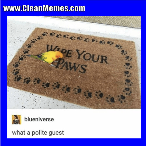 20Paws