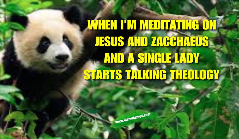 Meditate.jpg