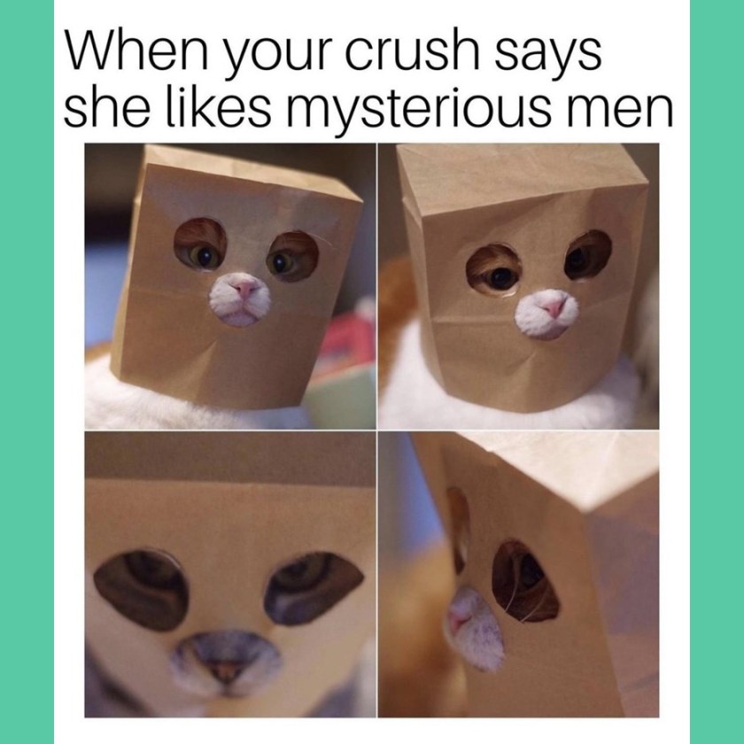 June 2023 Clean Memes 