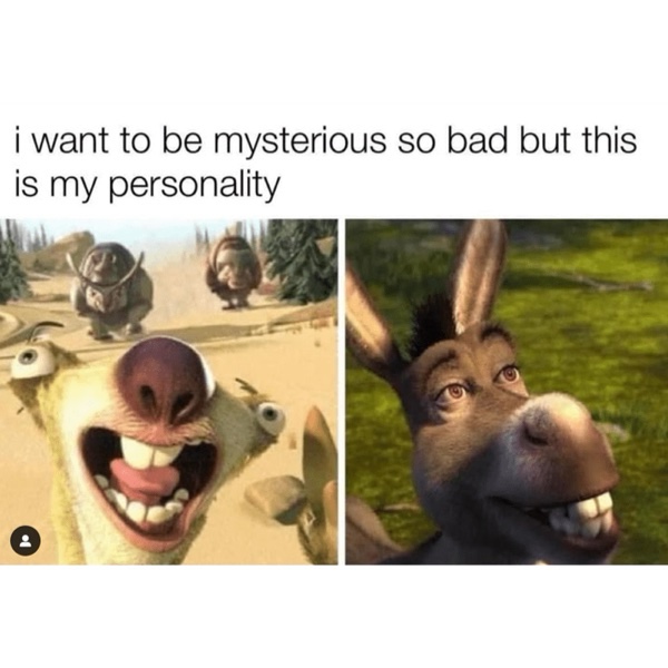 Evening clean meme drop 4-4-24 – Clean Memes