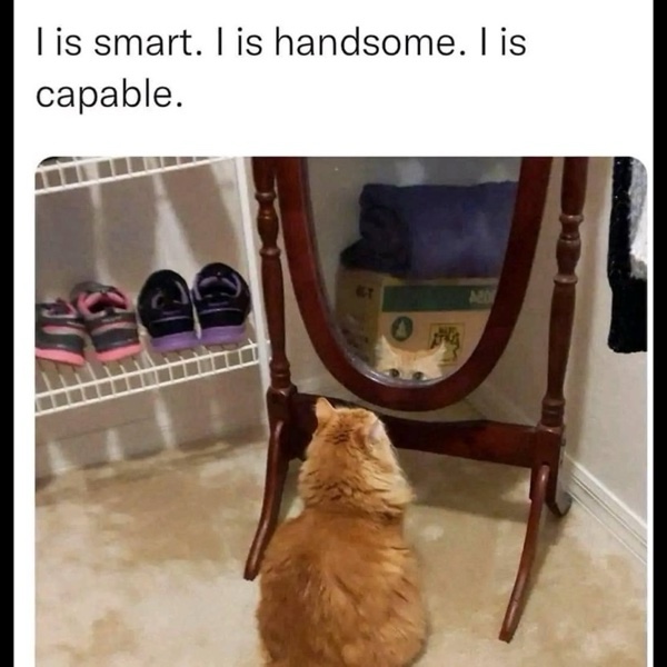 Clean Memes – Page 8 – The best and most clean memes online.