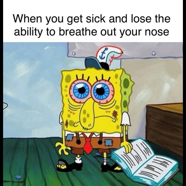 Clean meme drop 12-4-25 – Clean Memes